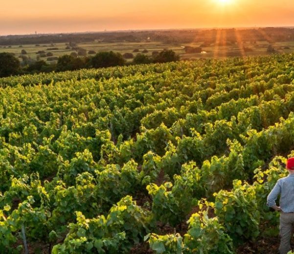 smart agriculture