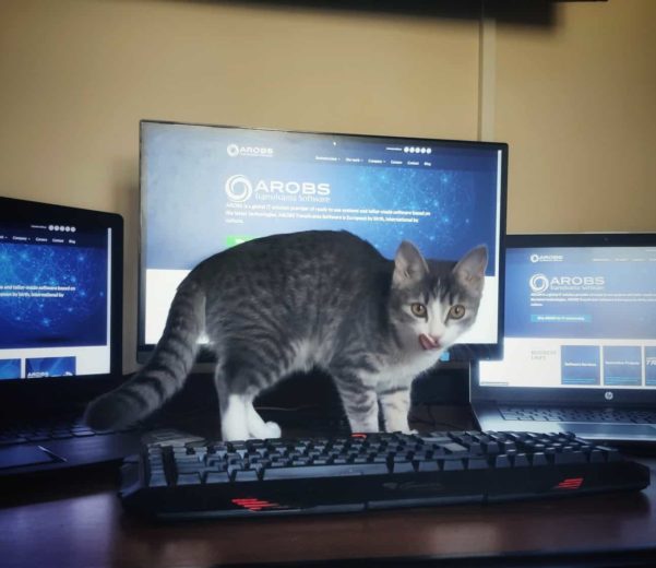 remote-work-from-home