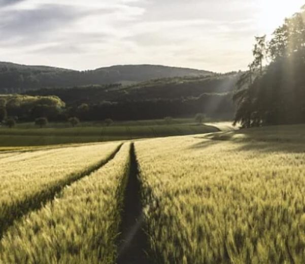 Precision-farming-expertise