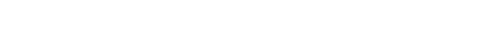 Top level outsourcing software solutions company