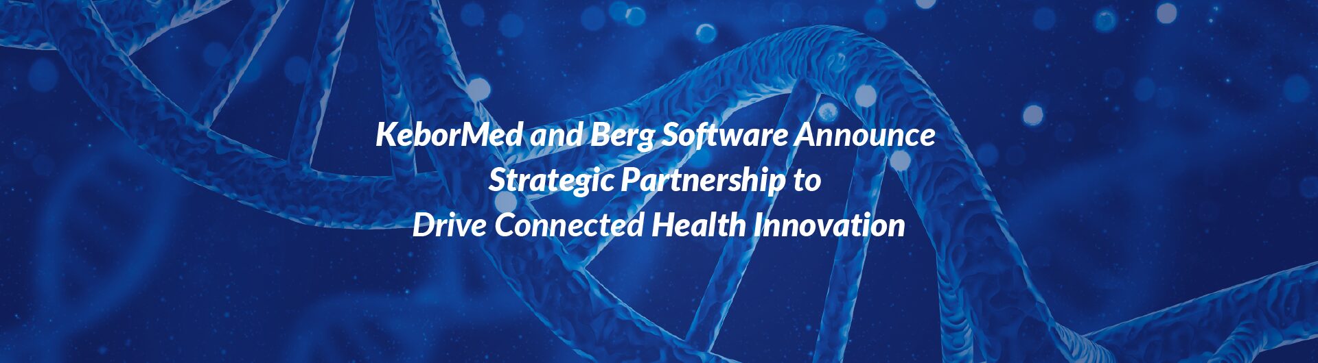 Kebormed and Berg Software